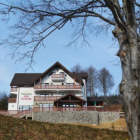 Pensiunea Lac Colibiţa Exteriér fotografie