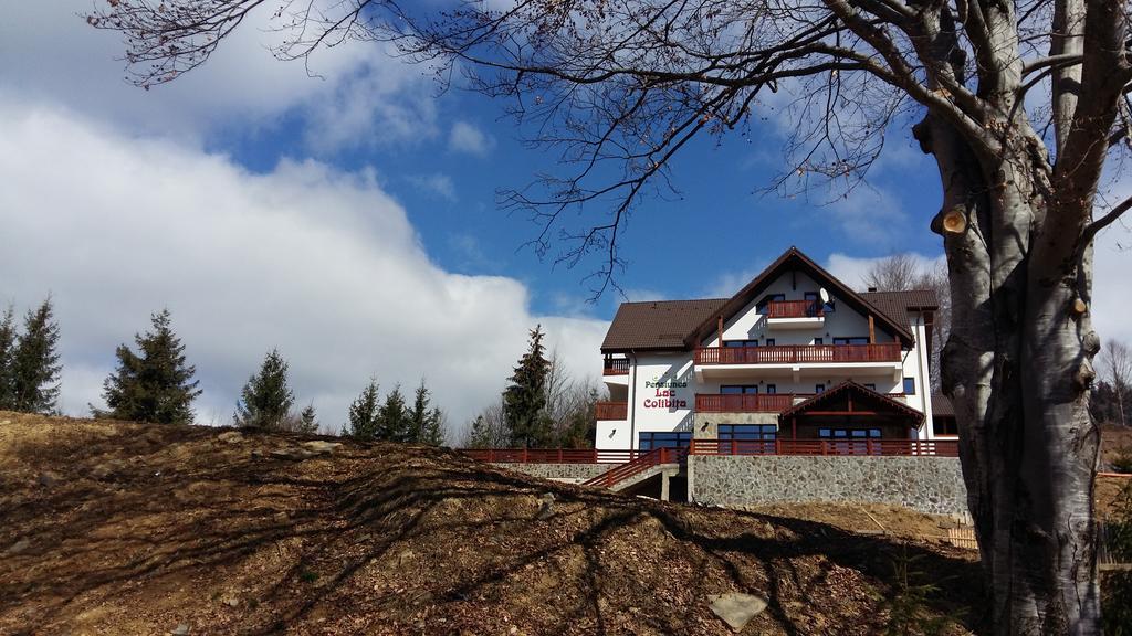 Pensiunea Lac Colibiţa Exteriér fotografie