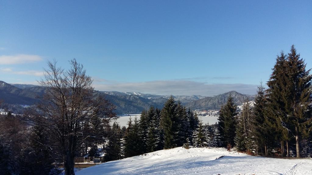 Pensiunea Lac Colibiţa Exteriér fotografie